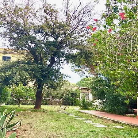 Acquazzurra Apartment